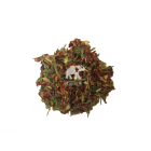 Rooibos Green Super Grade wl